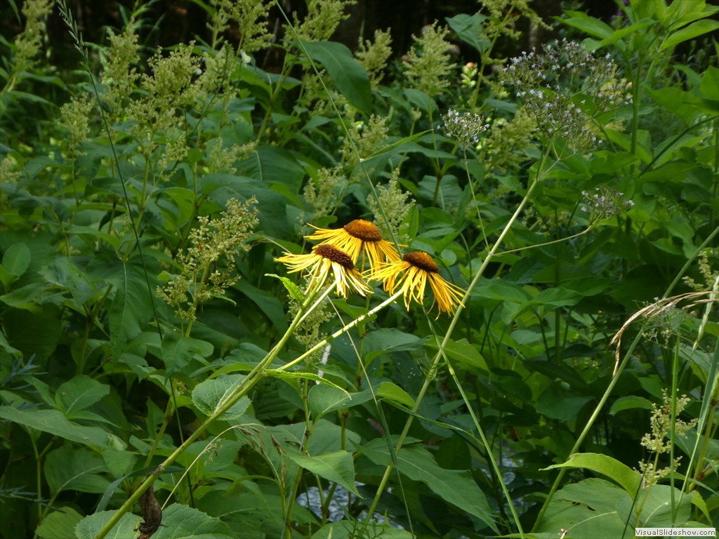P1030098