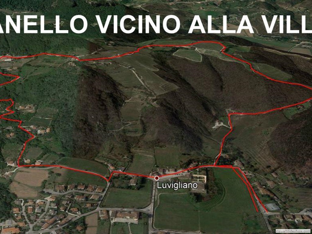 anello luv google