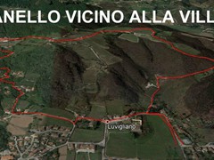 anello luv google