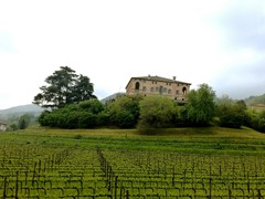 IMG_20190424_111712
