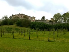 IMG_20190424_112106