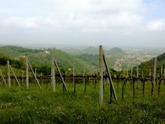 IMG_20190424_115013