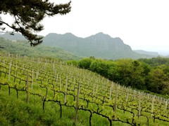 IMG_20190424_120722