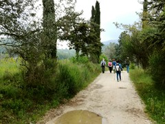 IMG_20190424_120743
