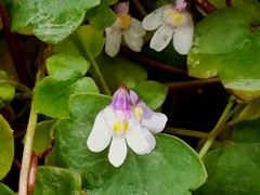 IMG_20190424_130305