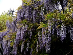 WP_20190424_11_21_32_Pro