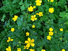 WP_20190424_12_52_41_Pro