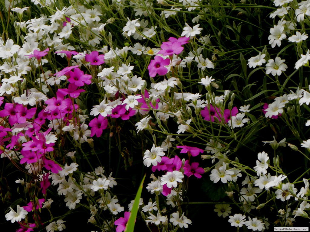 P1060938