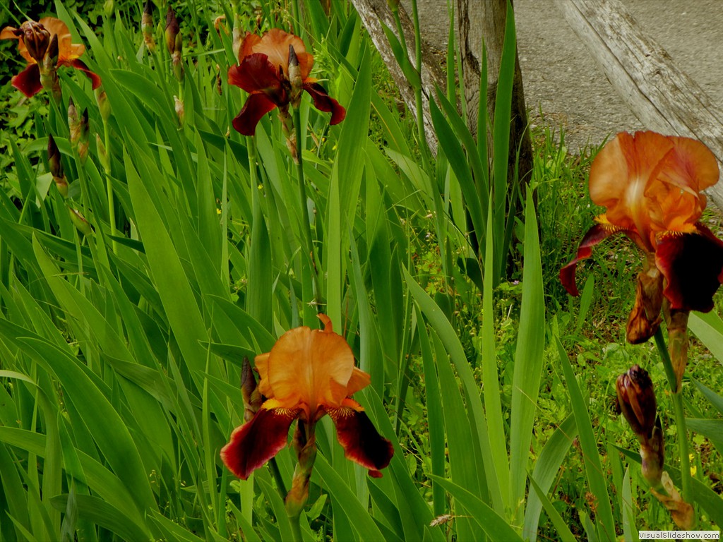 P1060942