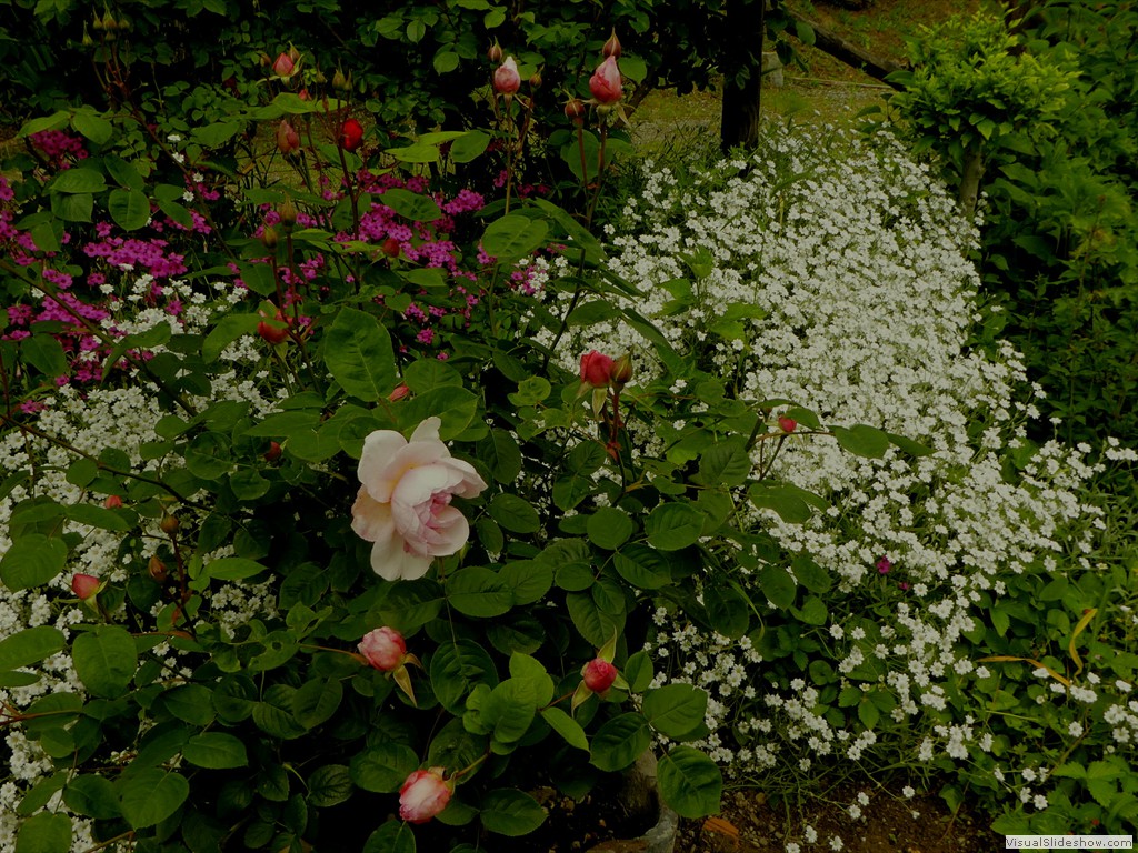 P1060954