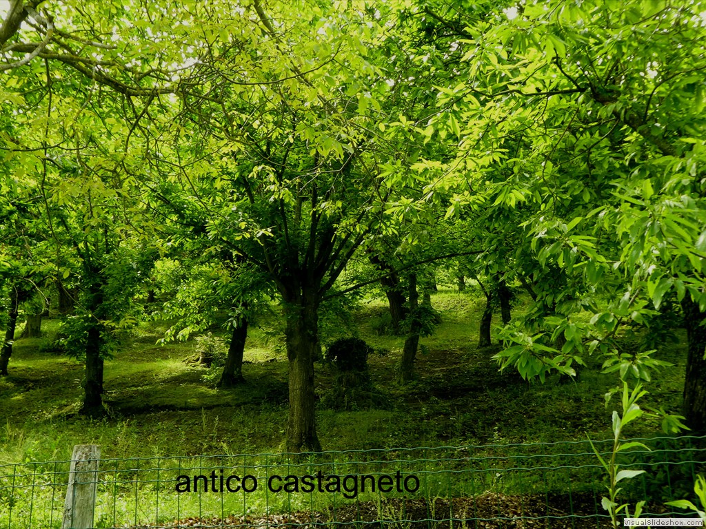 P1060960