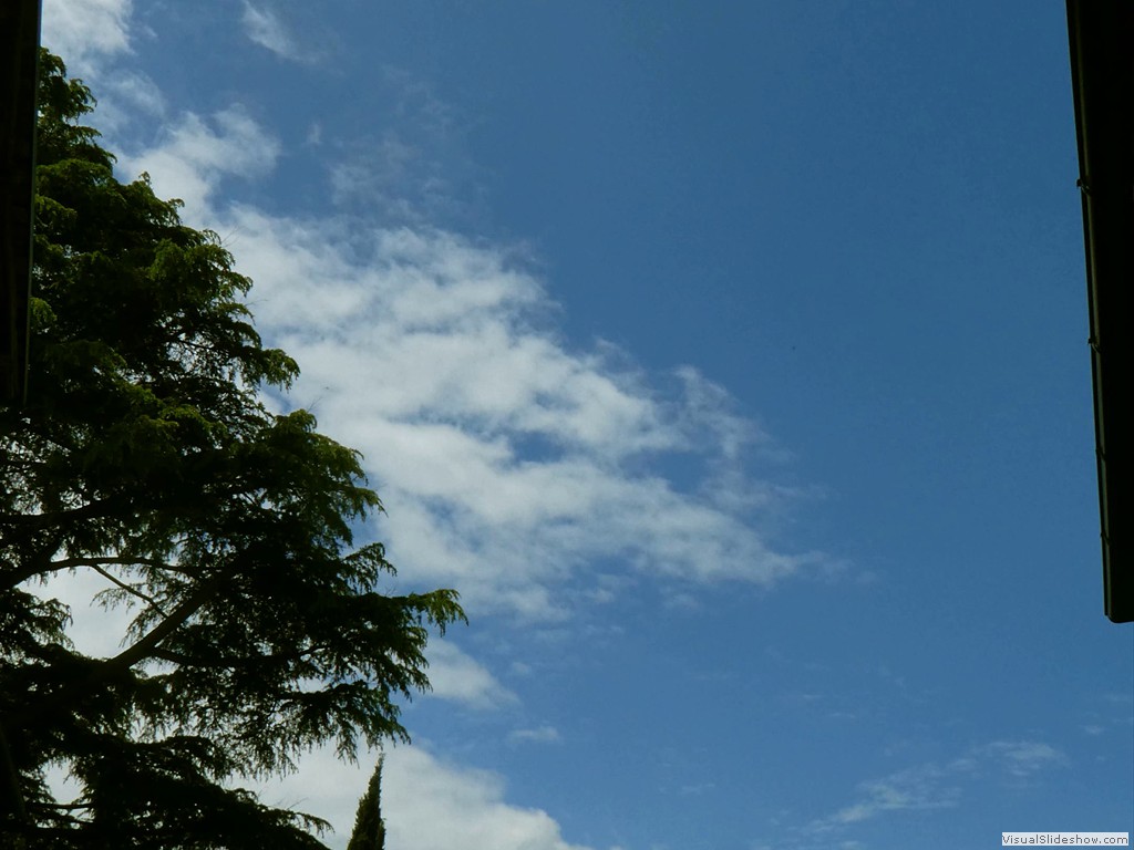 P1060969