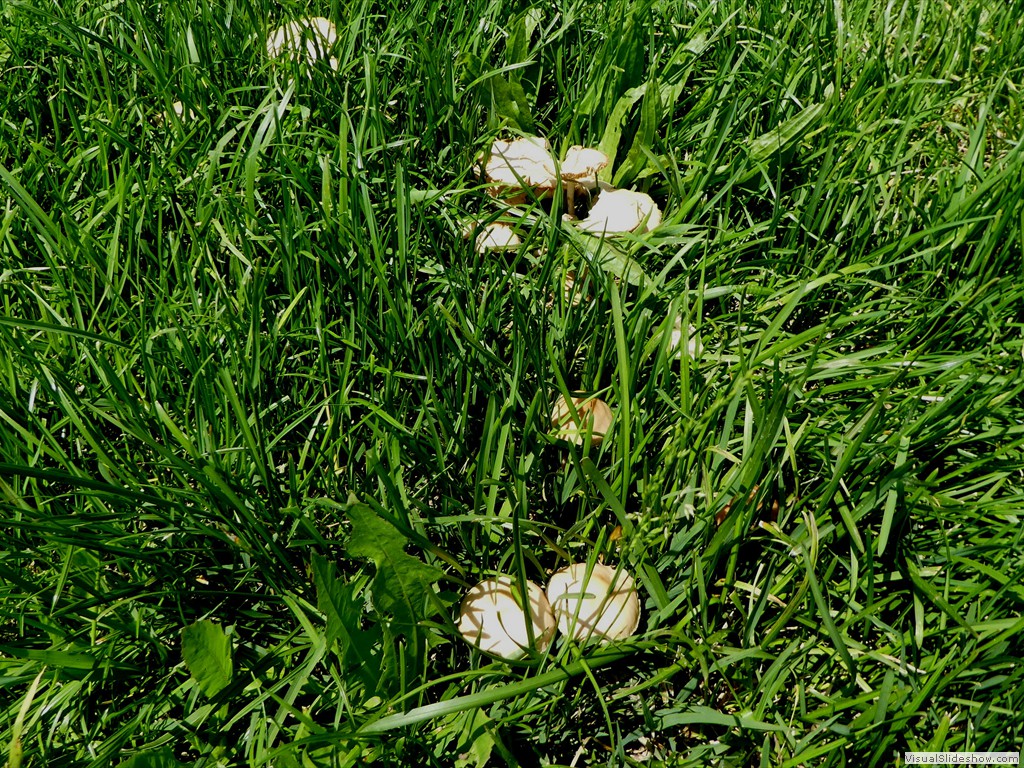 P1060975