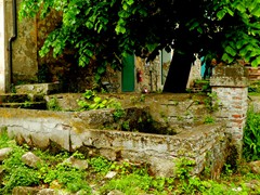 P1060930