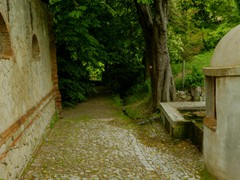 P1060934