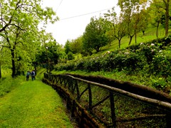 P1060955