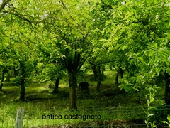 P1060960