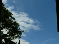 P1060969
