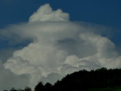 P1060973