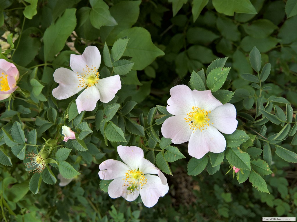 WP_20190508_10_30_38_Pro