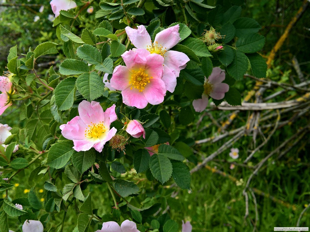 WP_20190508_10_44_19_Pro