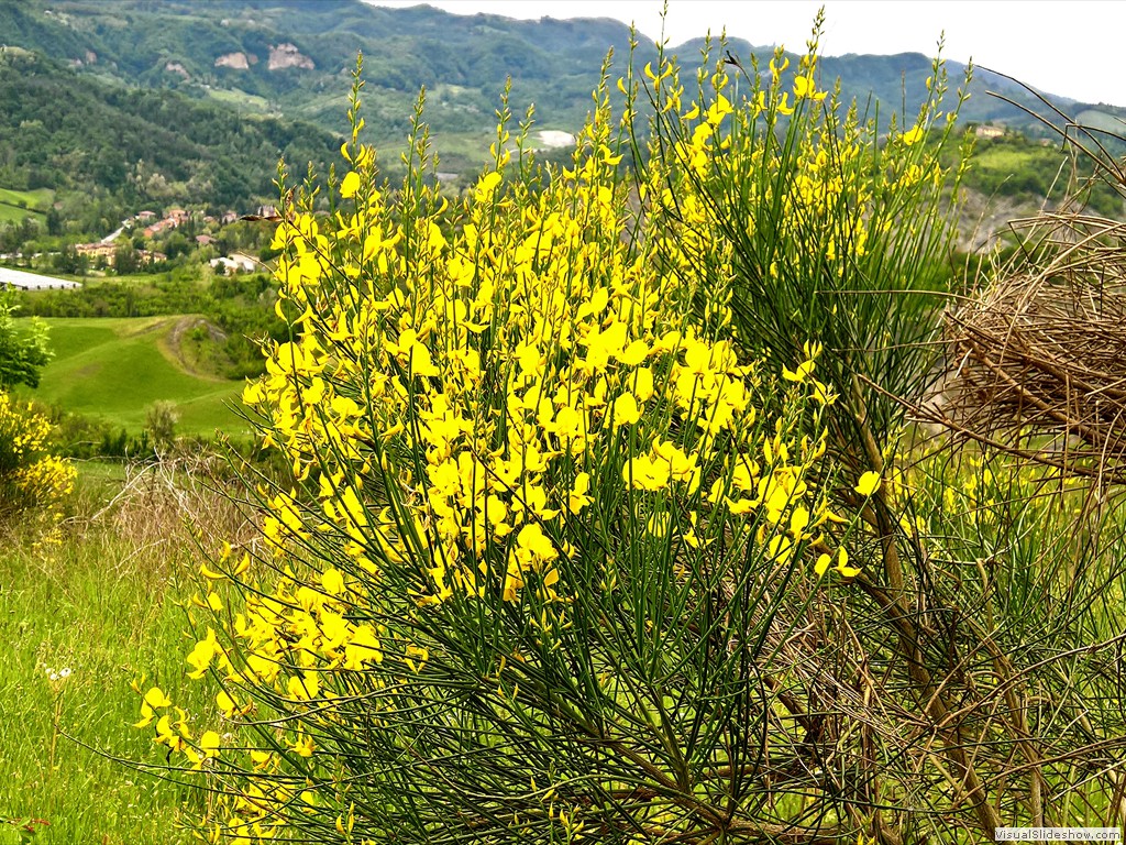WP_20190508_11_10_23_Pro