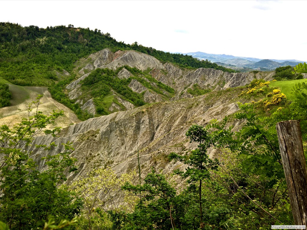 WP_20190508_11_16_28_Pro