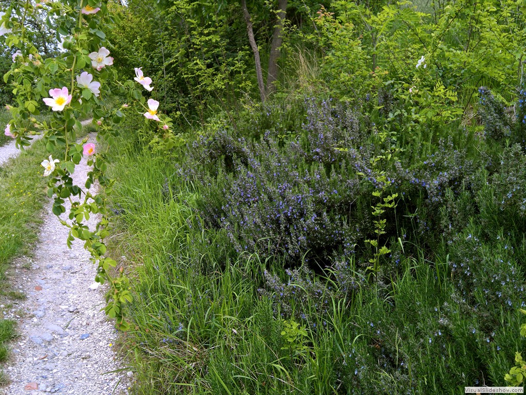WP_20190508_11_18_46_Pro