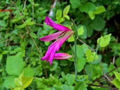 WP_20190508_11_08_44_Pro
