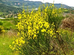 WP_20190508_11_10_23_Pro