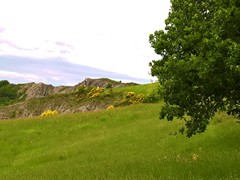 WP_20190508_11_11_23_Pro