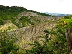 WP_20190508_11_16_28_Pro