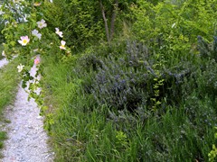 WP_20190508_11_18_46_Pro