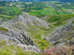 WP_20190508_11_42_45_Pro
