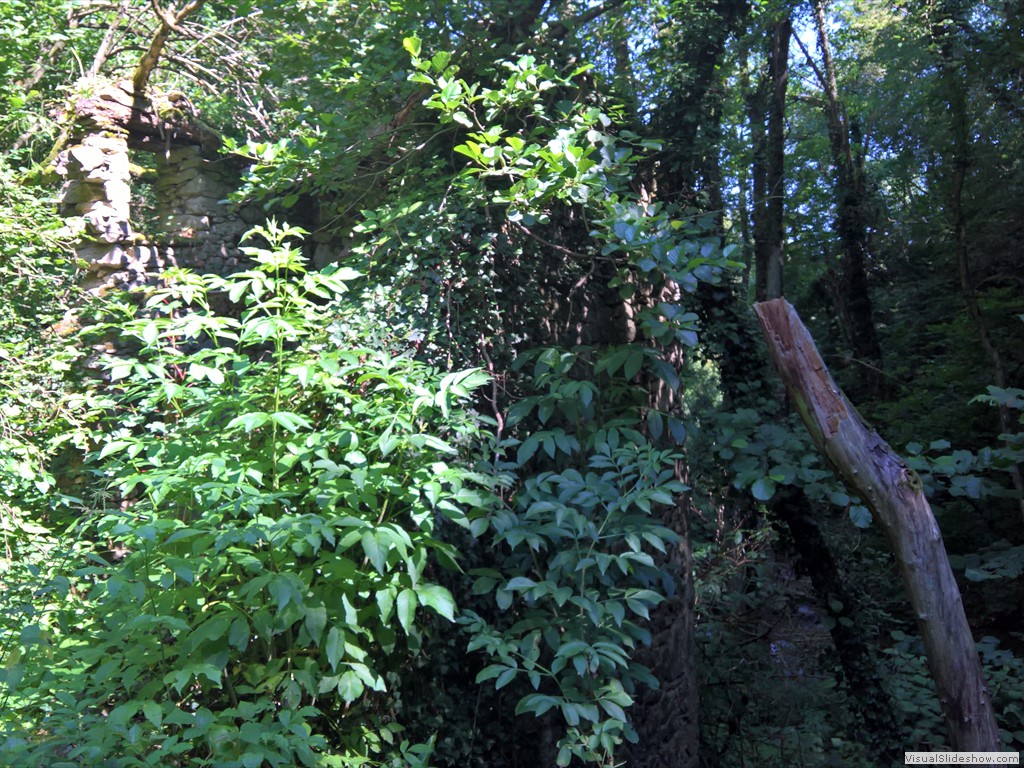 WP_20180718_10_56_34_Pro