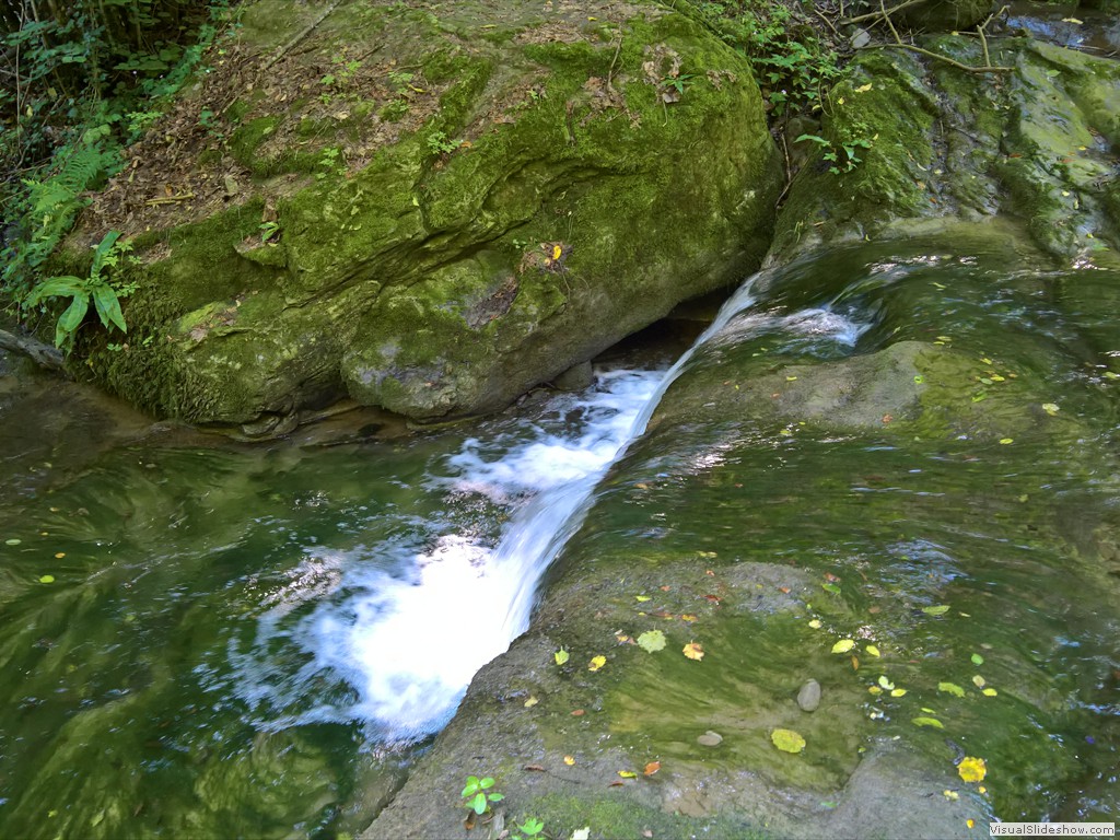 WP_20180718_10_57_43_Pro