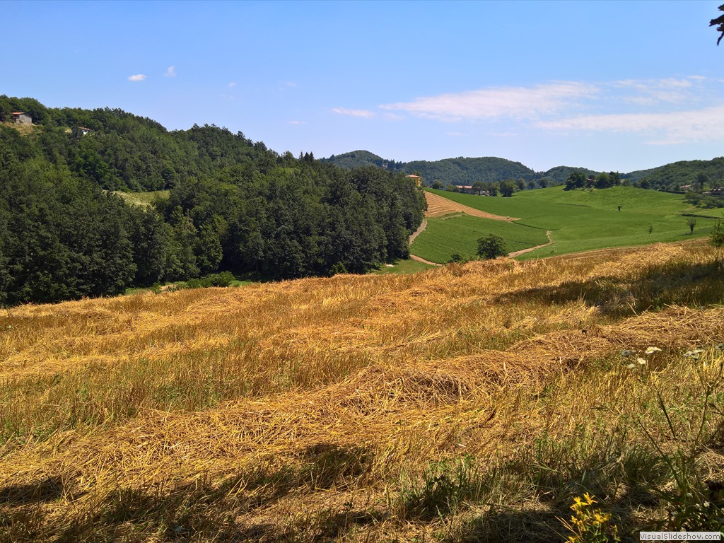 WP_20180718_12_22_38_Pro
