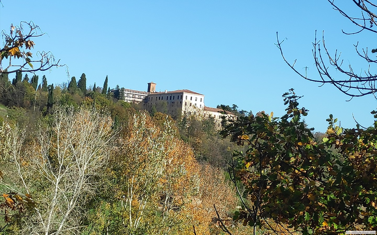 IMG_20201118_101524
