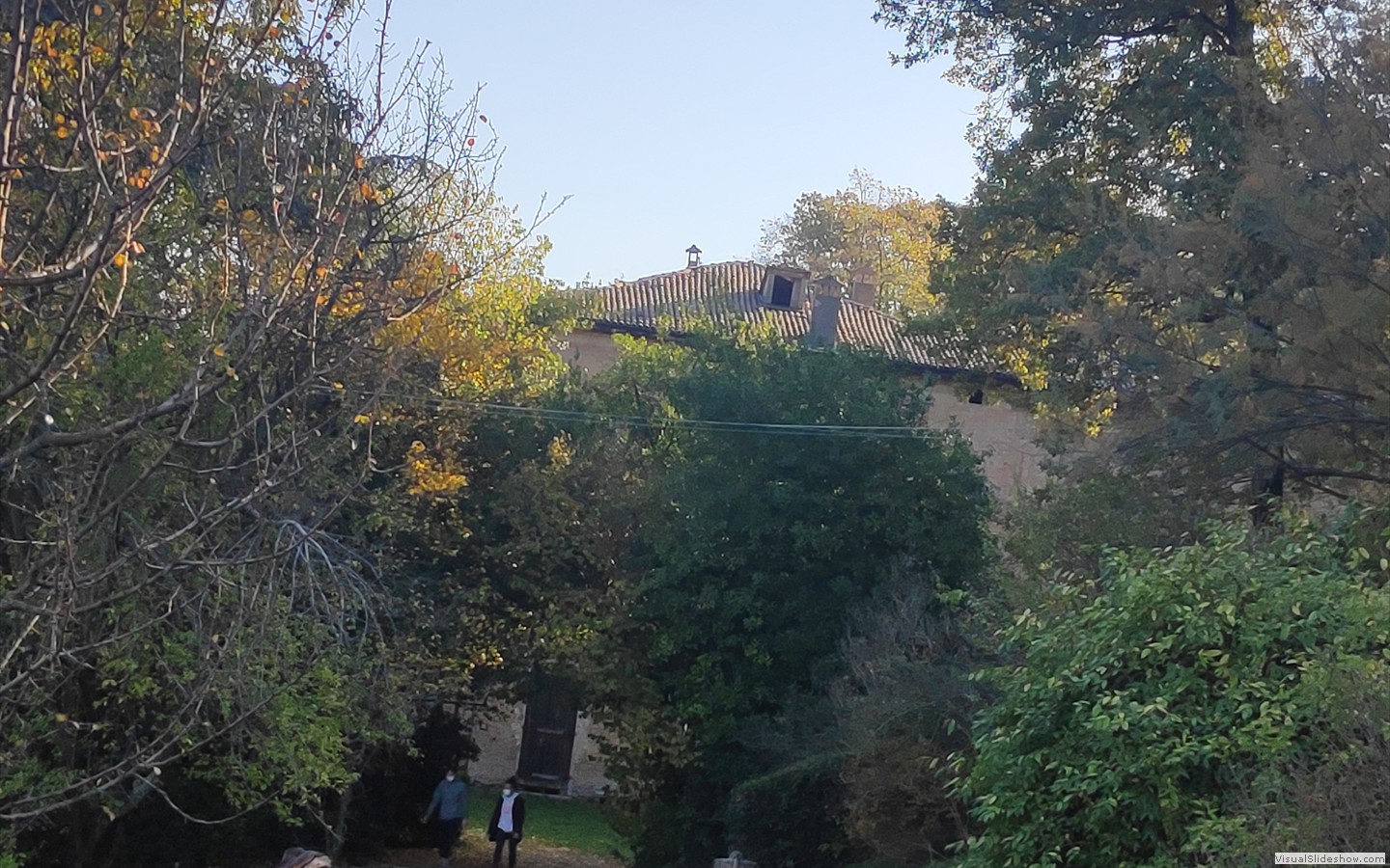 IMG_20201118_102329
