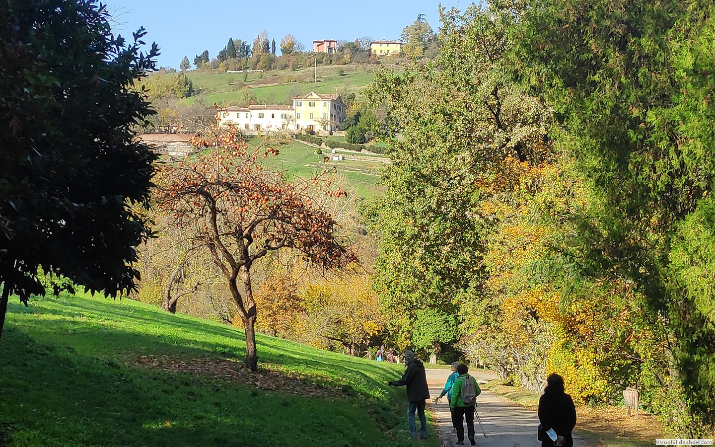 IMG_20201118_112253