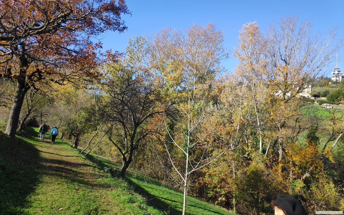 IMG_20201118_113022_1