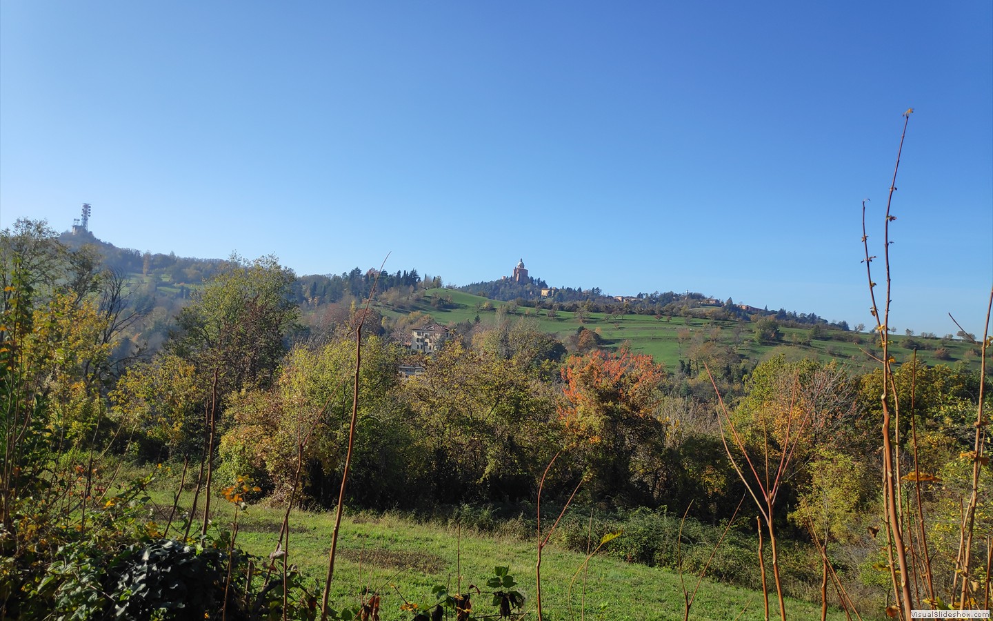 IMG_20201118_120607