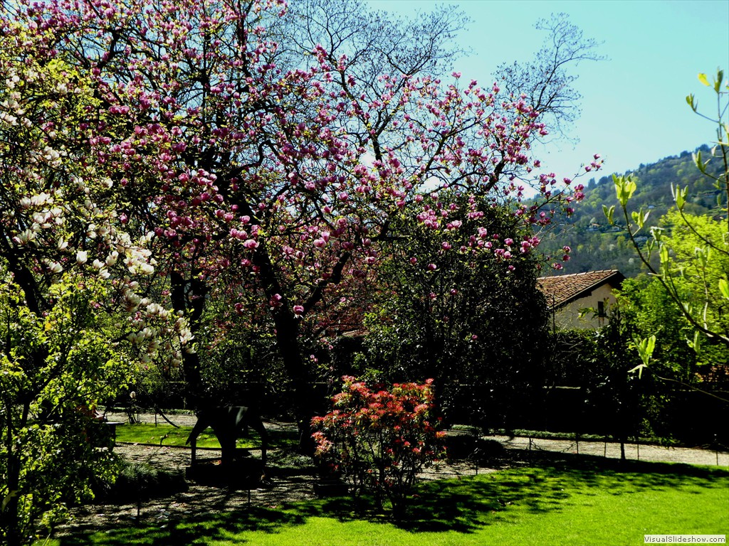 P1000644