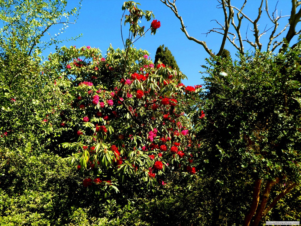 P1000648