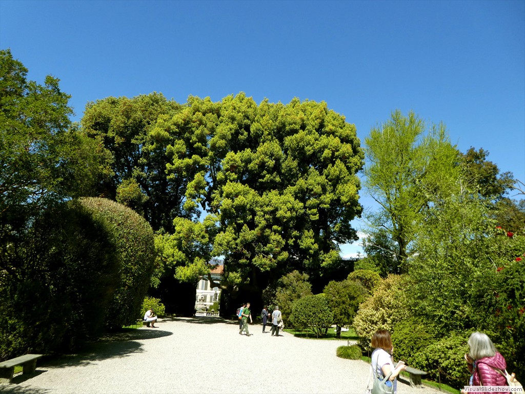 P1000650