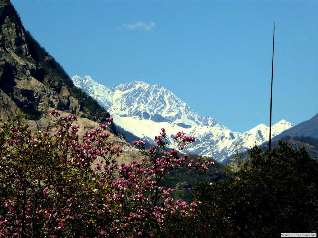 P1000656