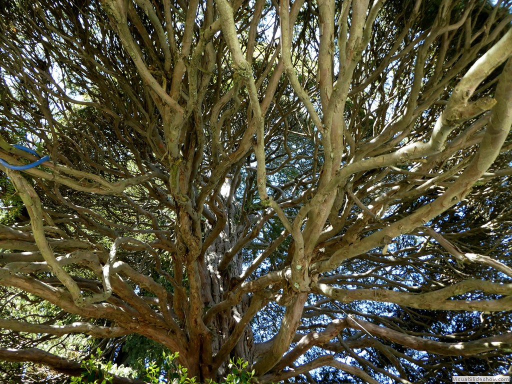 P1000683