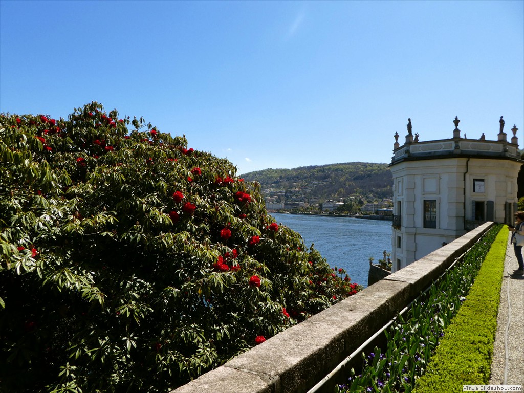P1000684