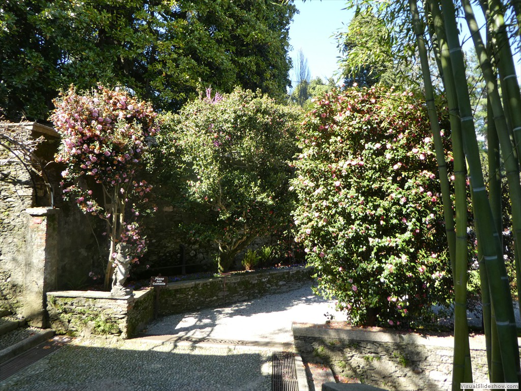 P1000698