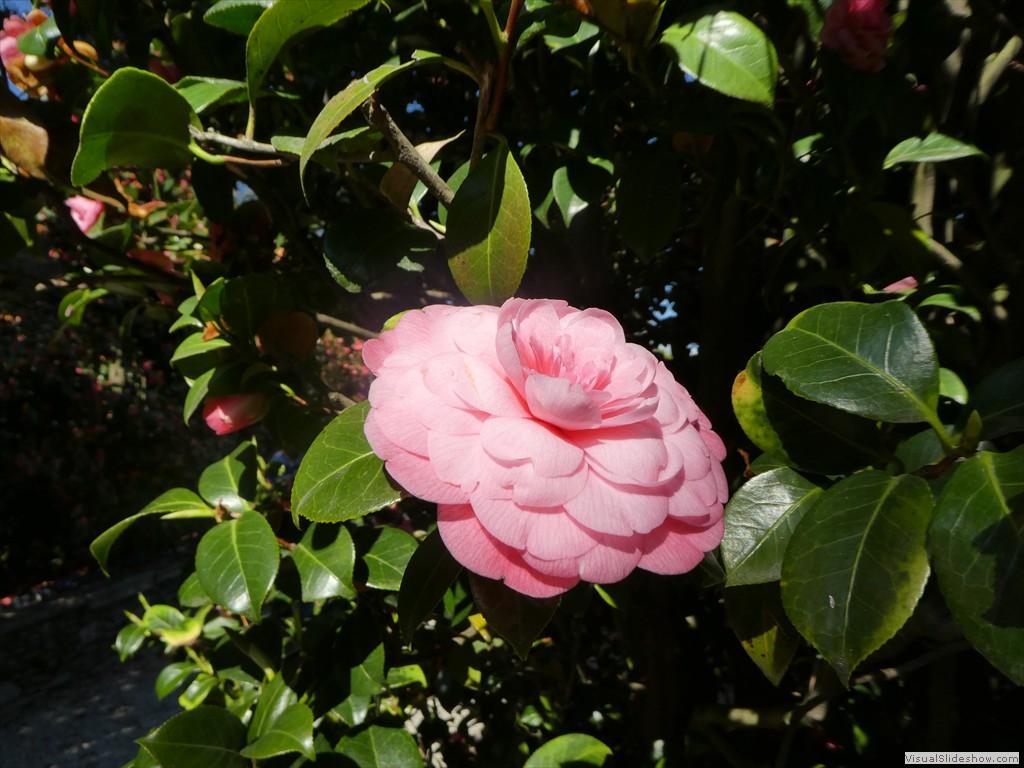 P1000699